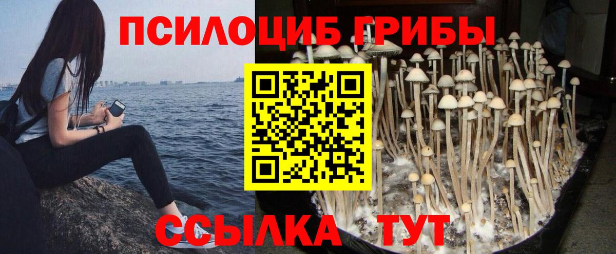 Галлюциногенные грибы ЛСД Ивантеевка